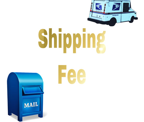 USPS Shipping Fee (For RETURNED Or Upgrade Shipping ONLY)